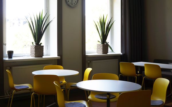 Stilrent lärarrum på Kristinaskolan med gula stolar och stora växter i fönstren.