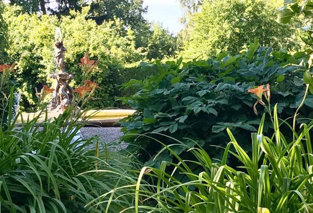 En grönskande park