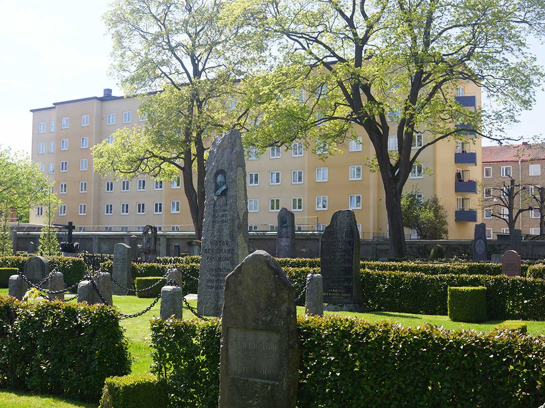 Norrköpings kyrkogårdar i solljus.