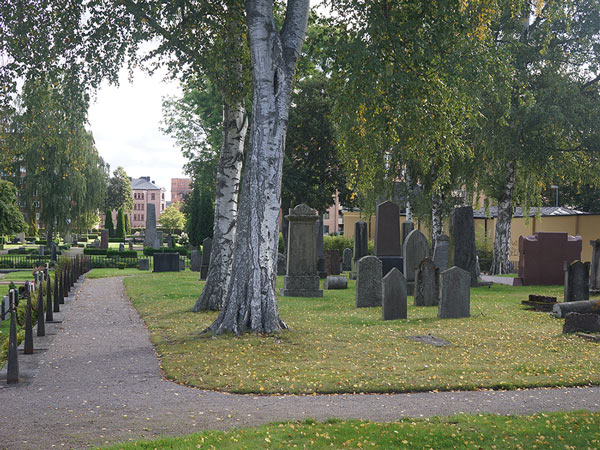 Norrköpings kyrkogårdar med gravstenar och björkträd.