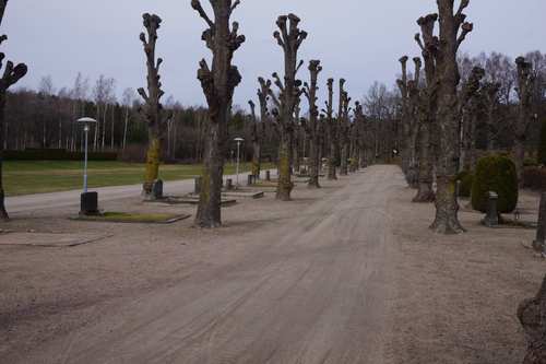 Grönska vid Oxelösunds kyrkogård.