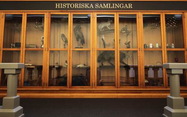 Skåp med uppstopppade djur och en skylt där det står Historiska Samlingar med stora bokstäver på De Geergymnasiet.