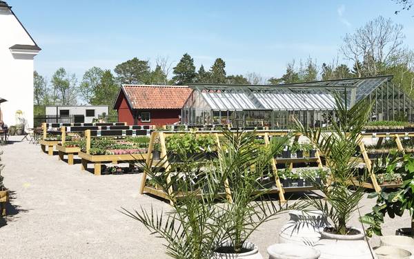 En handelsträdgård utomhus i Löfstad.