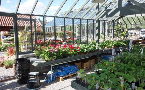 Växter och jord inuti ett växthus i Löfstad Handelsträdgård.