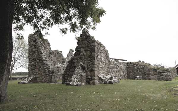 Kronobäcks klosterruin i grönska.