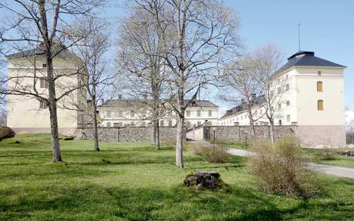 Ett träd framför Löfstads slott.