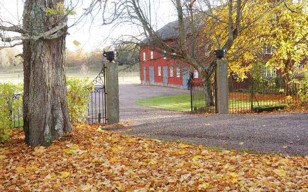 Grusväg med grindar på Spellinge och höstlöv på marken.